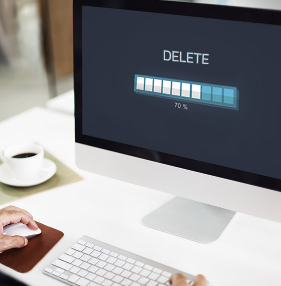 Borrado seguro de datos